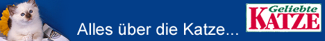 Geliebte Katze — Alles über die Katze